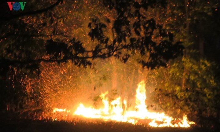 Biển lửa bao trùm khu bảo tồn thiên nhiên Tà Cú, Bình Thuận