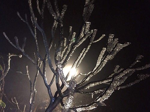 Fansipan dưới 0 độ C, xuất hiện băng giá