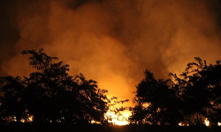 Lửa cháy ngùn ngụt bao trùm rừng tràm TP.HCM