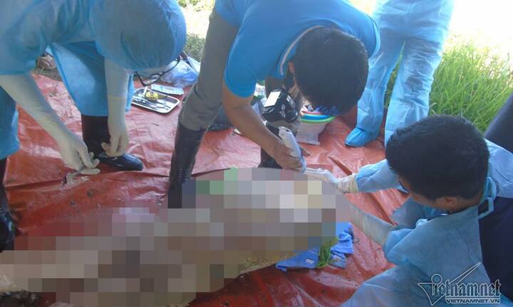 Khai quật tử thi nữ kế toán bệnh viện ở Nghệ An: Còn nguyên vẹn sau 6 năm chôn cất