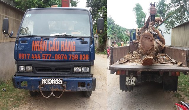 Thuê xe cẩu tự hành đi trộm cây mít trị giá 40 triệu đồng