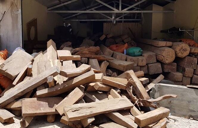 Thu giữ 25m3 gỗ tại nhà trùm ma túy Nguyễn Thanh Tuân: Kiểm lâm nói gì?