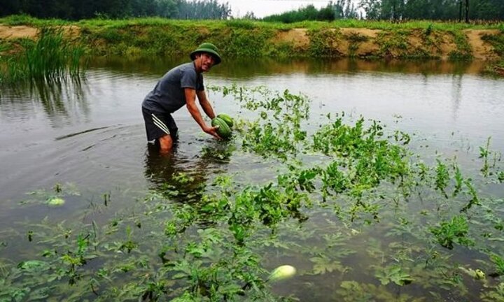 Mưa lớn, nhiều tuyến đường ở Thanh Hóa ngập và sạt lở