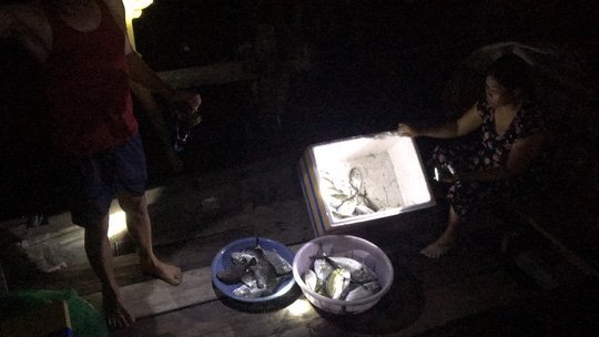 Cá chết, dân nghi do cơ sở sản xuất nước đá xả khí gas