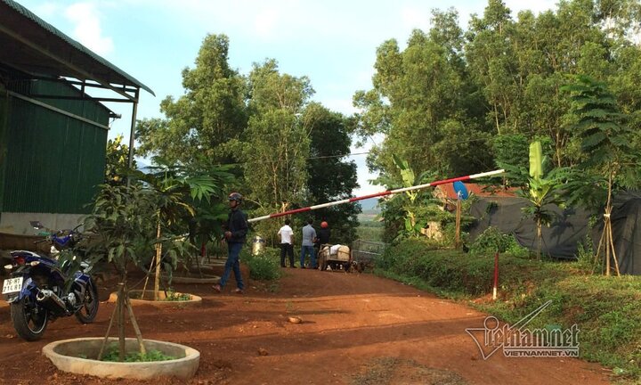 Nguyên lãnh đạo ‘ăn' 40 ha đất vẫn nhận huân chương: Lãnh đạo tỉnh Đắk Nông lý giải