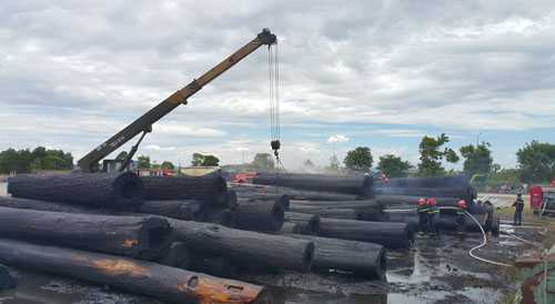 Đốt rác, đốt luôn hàng trăm cây gỗ quý ở Nghệ An