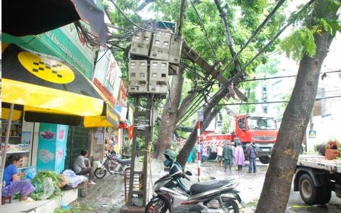 3 tỉnh mất điện hoàn toàn do bão số 1: Vẫn chưa khắc phục xong