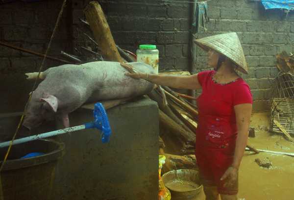 Dân Lào Cai trắng tay, khóc cạn nước mắt vì lũ dữ