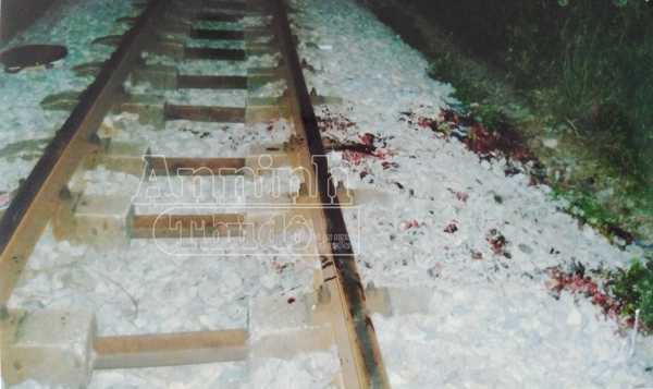 Người phụ nữ ở Hà Nội tự chặt tay chân nhằm trục lợi 3,5 tỷ tiền bảo hiểm