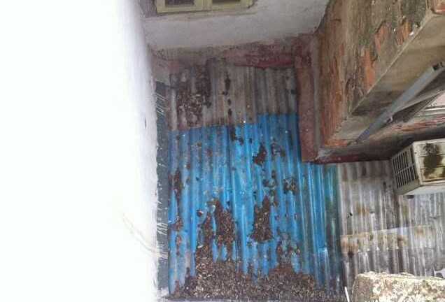 Cho mượn đất rồi bị mất, không biết tòa xử khi nào