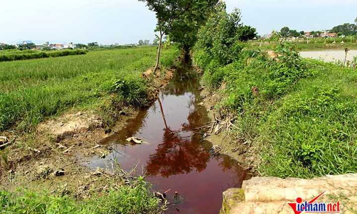 Lở loét, bỏng rát vì dòng nước thải đỏ ngòm như máu chảy quanh làng
