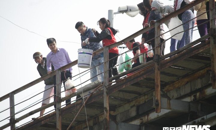 Ảnh: Cá chép 'đu dây' xuống sông Hồng ngày ông Công ông Táo về trời