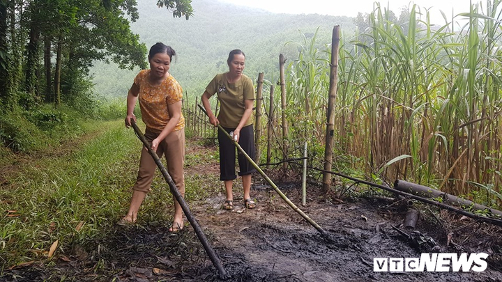 Ảnh: Cận cảnh con suối đen sì gần nhà máy nước sạch sông Đà bị 'đầu độc' bởi dầu thải