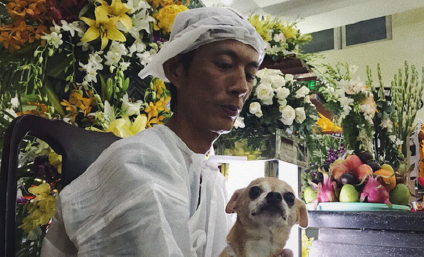Chú chó Lucky được gia đình buộc tang trắng, quấn quýt bên linh cữu cố nghệ sĩ Lê Bình