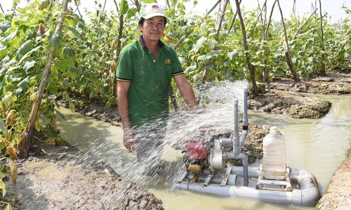 Cận cảnh thiết bị tưới rau màu tự vận hành tiện dụng