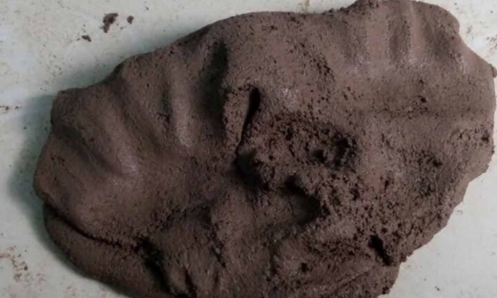 Học sinh cấp hai chế tạo gốm lọc nước làm từ… bã cà phê