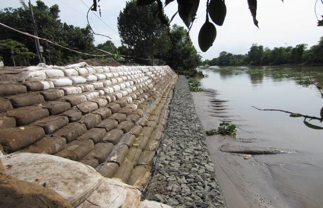Giải pháp bảo vệ bờ sông bằng công nghệ mềm