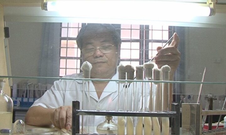 Biến rơm rạ thành phân hữu cơ