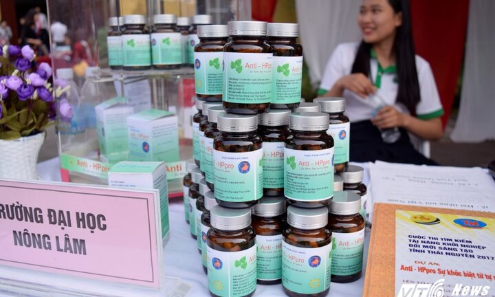 Ứng dụng lá Bồ đề trong điều trị bệnh dạ dày