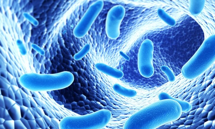 Nghiên cứu công nghệ sản xuất thực phẩm chức năng từ vi khuẩn probiotics