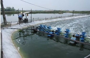 Công nghệ mới xử lý môi trường nước nuôi trồng thủy sản và sản xuất phân bón vi lượng