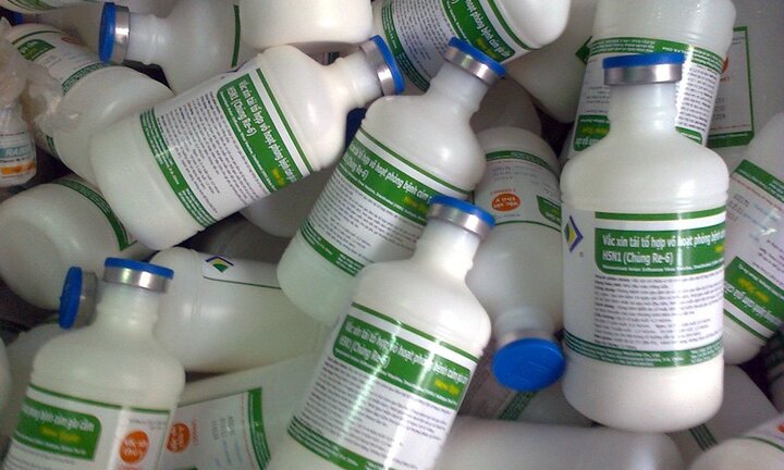 Việt Nam nghiên cứu, sản xuất vắc-xin lở mồm long móng