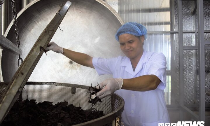 Bị tai nạn khiến nhiễm trùng khớp háng suýt cưa chân, thoát kiếp ngồi xe lăn nhờ bài thuốc quý