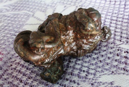 Mổ dê cái, phát hiện 7 'vật thể lạ' nghi là vị thuốc sinh lý quý hiếm