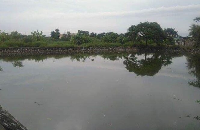 Rủ nhau ra hồ chơi, hai cháu bé chết đuối thương tâm