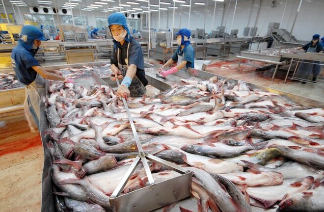 'Vua cá tra' Hùng Vương sắp giải thể công ty địa ốc