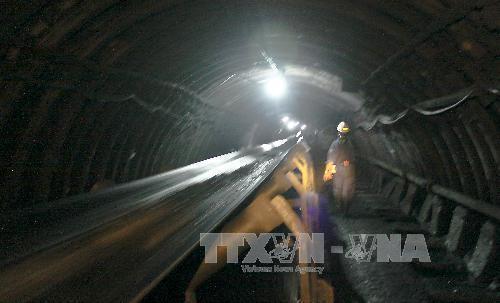 TKV sẽ giảm tồn kho hàng tháng tối thiểu 500.000 tấn than