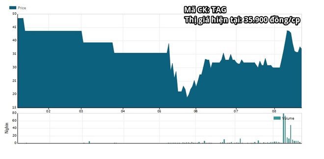 Vì sao Trần Anh 'bán mình' cho Thế giới Di động, hủy niêm yết cổ phiếu?