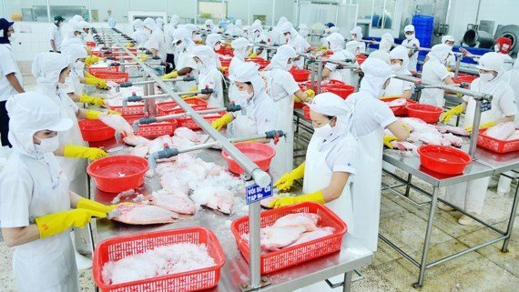 Nhiều doanh nghiệp Việt có nguy cơ bị loại khỏi thị trường Mỹ