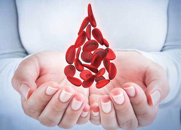 Tuyệt chiêu tự lọc sạch mạch máu bằng thực phẩm có sẵn trong bếp