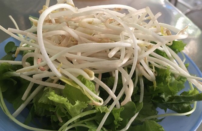 Bơm chất kích thích vào giá đỗ, bị phạt 30 triệu đồng