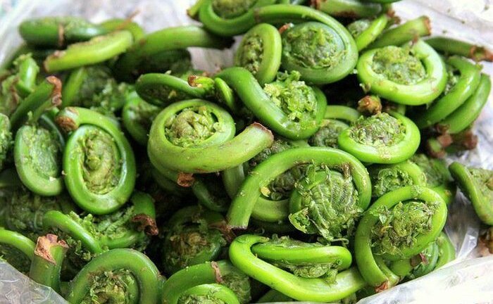 Phát hiện thêm loại rau trường thọ thế giới tôn sùng mọc đầy ở Việt Nam