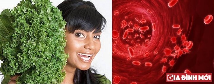 Bác sĩ Ấn Độ khuyên nên chọn chế độ ăn uống theo… nhóm máu