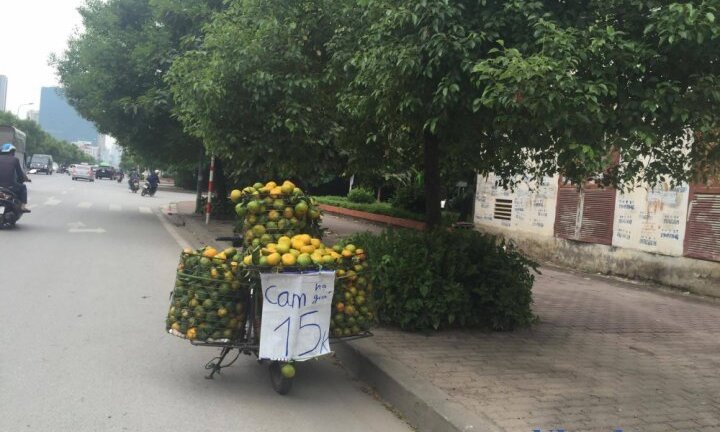 Hà Nội: Cam siêu rẻ, không rõ xuất xứ bày bán tràn lan