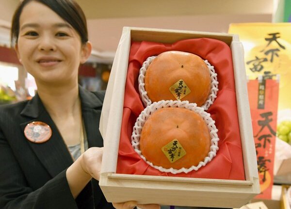 Cận cảnh quả hồng Nhật giá 50 triệu đồng, được tuyển lựa... kỹ hơn hoa hậu