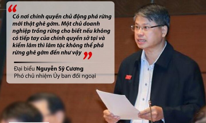 Những phát ngôn 'đốt nóng' nghị trường Quốc hội