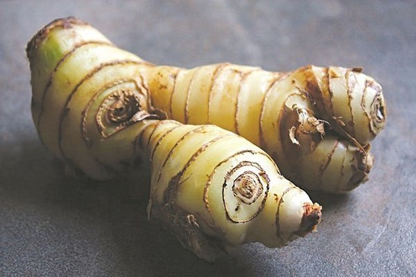 Sau gừng và tỏi, loại củ này cũng có tác dụng như 'thần dược' trong ngày đông lạnh