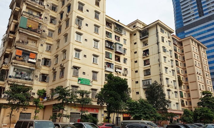 Chung cư nhếch nhác ở Hà Nội thành nơi nuôi gà, trồng rau