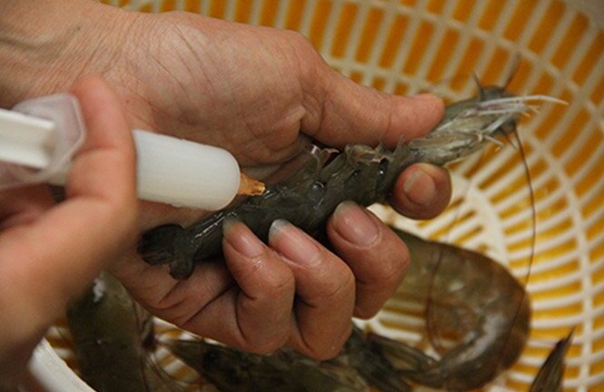 Doanh nghiệp được phép tự công bố chất lượng gần 90% sản phẩm thực phẩm