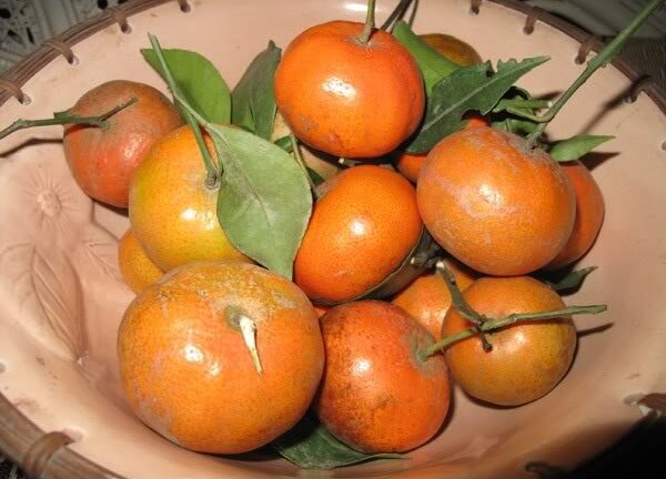 Mỗi ngày bạn phải ăn bao nhiêu rau quả để đủ Vitamin?