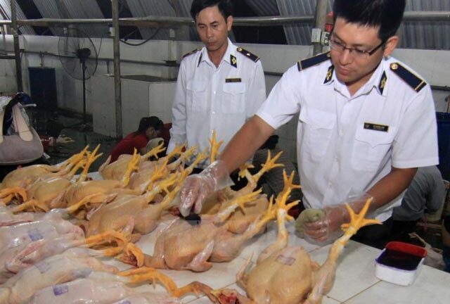 95% thực phẩm nhập khẩu không phải kiểm tra chuyên ngành