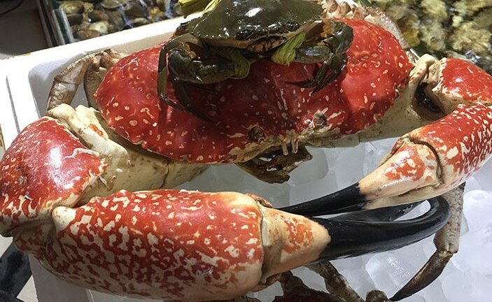 Chiêm ngưỡng con cua 8kg giá 60 triệu đồng tại Việt Nam