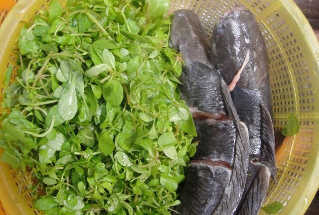 Đừng nấu 9 rau củ này với cá