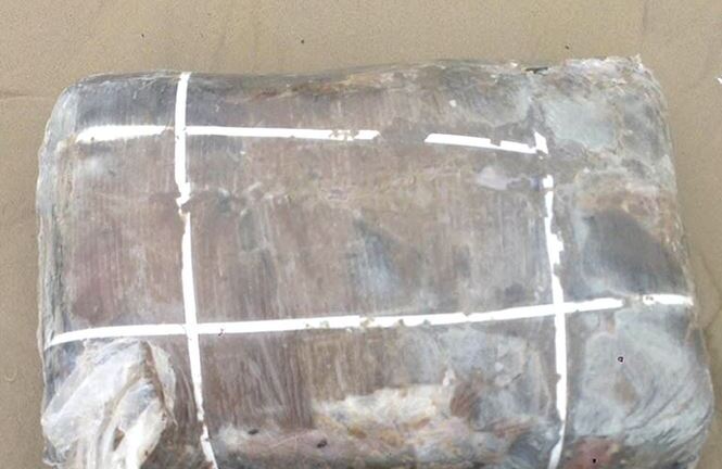 Bí ẩn 5 tạ thịt thối dạt vào bờ biển Thừa Thiên - Huế