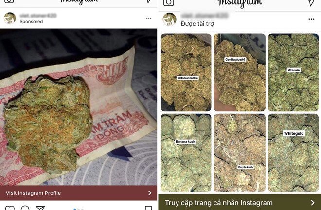 Quảng cáo cần sa, mại dâm công khai trên Instagram