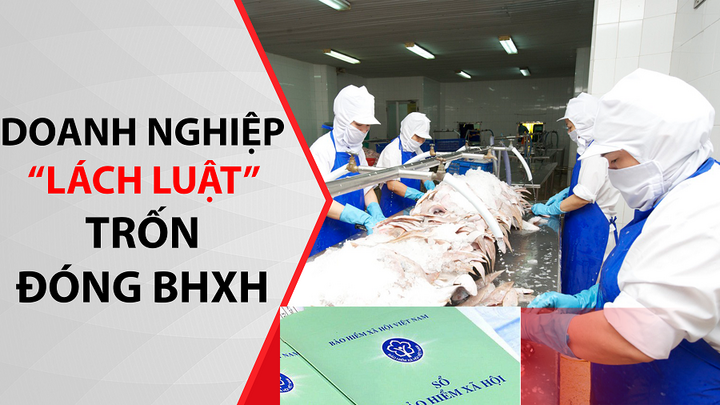 Nhận diện một số thủ đoạn thực hiện hành vi vi phạm pháp luật trong lĩnh vực BHXH